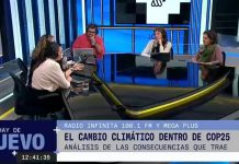 Asesora del COP25 y experta en cambio climático: «La evidencia del calentamiento global es contundente, no se puede refutar y es inequívoco» (Radio Infinita)