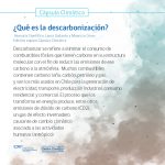 capsula descarbonizacion