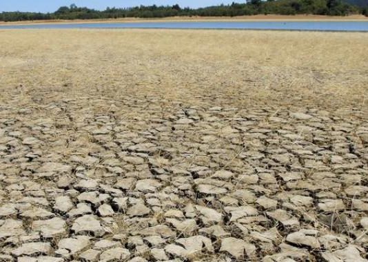 Científicos critican a clase política chilena por megasequía que afronta el país (América Economía)