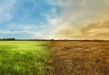 Cambio/Emergencia/Crisis Climática: ¿cómo denominar el principal desafío global que enfrenta el planeta? (Noticias U. de Chile)