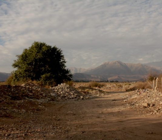 Sequía en Chile: “Así va a ser el futuro, pero no necesariamente el futuro ha llegado” (El Desconcierto)