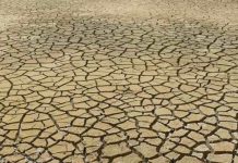 Transformación, el nuevo concepto asociado al cambio climático (Tiempo.com)