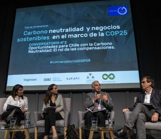 Bosque nativo, fomento a la forestación y paisajes más heterogéneos, las claves para incrementar la captura de CO2 en Chile (País Circular)
