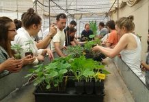 Conferencia Transformations abre sus puertas para compartir experiencias de diversos actores sociales (Noticias U. de Chile)