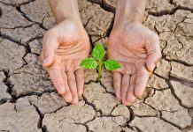 U. de Chile convoca a talleres para abordar diversos aspectos del cambio climático (Radio U. de Chile)