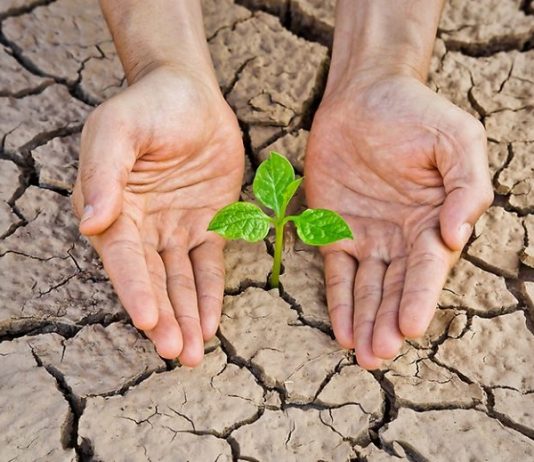 U. de Chile convoca a talleres para abordar diversos aspectos del cambio climático (Radio U. de Chile)