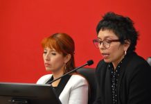 Crónica de las X Jornadas Iberoamericanas 2019: la necesaria cooperación entre naciones (Noticias IUGM)