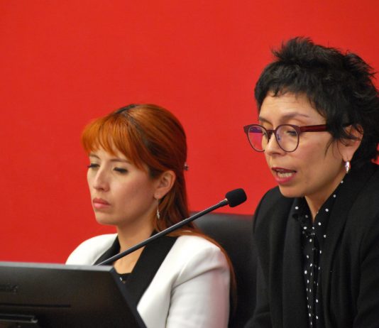 Crónica de las X Jornadas Iberoamericanas 2019: la necesaria cooperación entre naciones (Noticias IUGM)