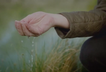 En la prensa: Microdocumental BBC sobre cambio climático