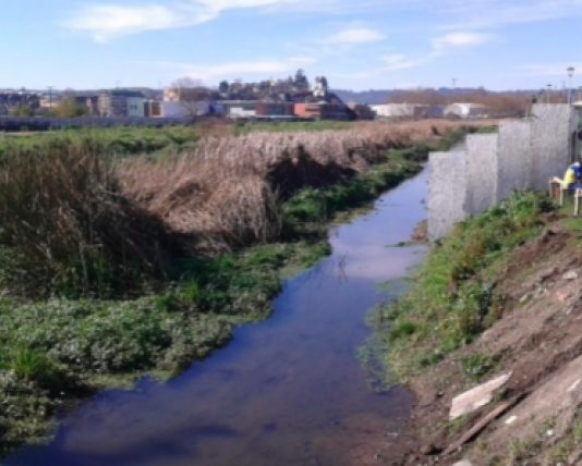 «Supervivencia de los humedales: ¿Lloramos o hacemos algo?» por Verónica Delgado y Ricardo Figueroa