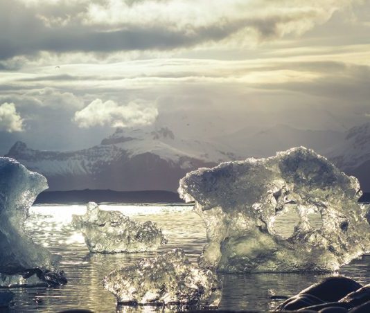 En la prensa: Invitación a Conferencia Internacional Educación y Cambio Climático 2019