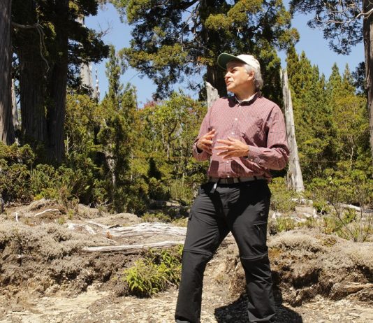 Investigadores proponen mejoras a compromisos de Chile para la reducción de emisiones (Diario UACh)