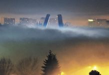 Los compromisos que deberían copar la agenda del COP25 (La Tercera)