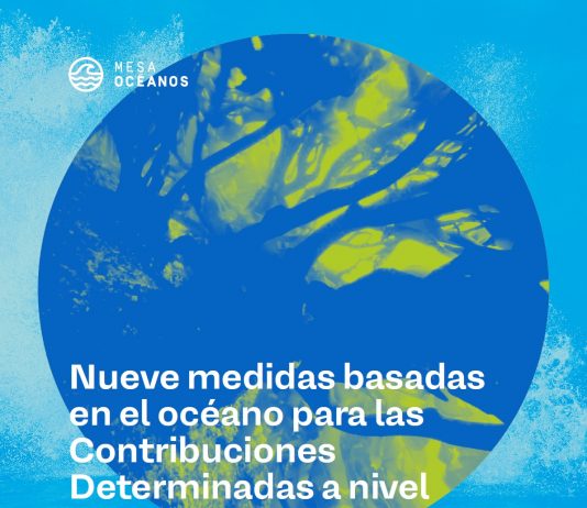 Nueve medidas basadas en el océano para las Contribuciones Determinadas a nivel Nacional de Chile