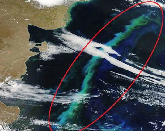 Científico chileno pilló enorme florecimiento de algas en el Atlántico (Las Últimas Noticias)