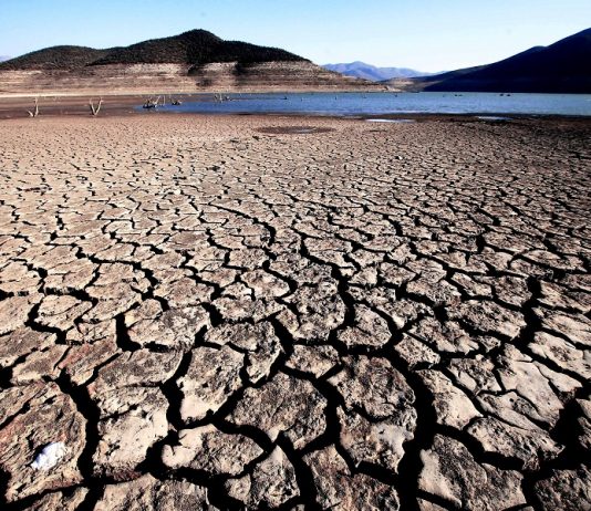 Las consecuencias de 10 años de sequía en Chile (Desafío Tierra)