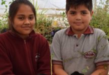 Chile: ¿cómo proteger el medio ambiente en una nueva constitución? (Mongabay)