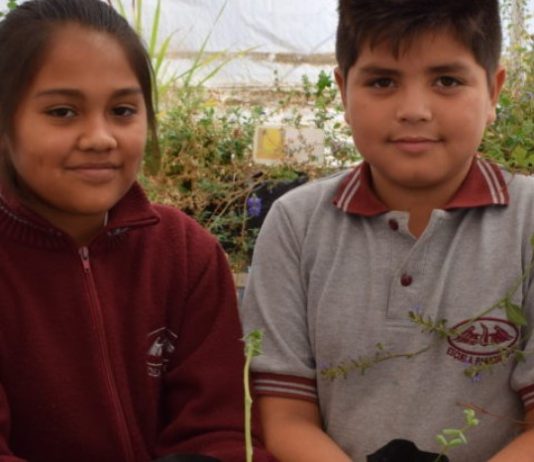 Chile: ¿cómo proteger el medio ambiente en una nueva constitución? (Mongabay)