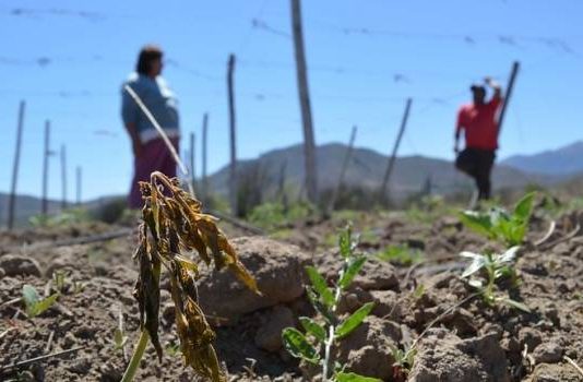 Disponibilidad de agua en Chile: informe revela reducción de hasta 37% en los últimos 30 años (Radio Biobío)