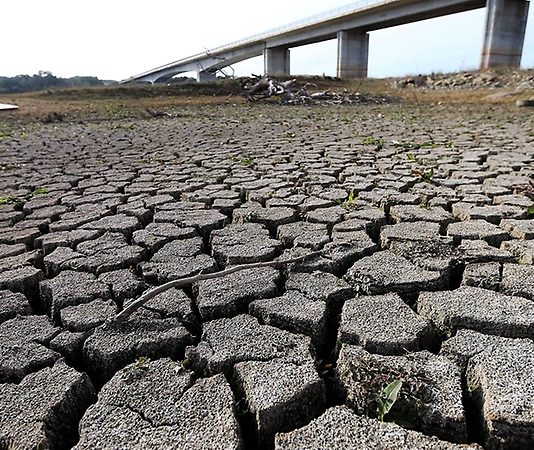 Académicas de la U. de Chile participarán de la COP 25 en Madrid (Noticias U. de Chile)
