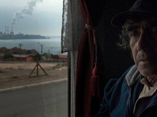 ¿Qué consideraciones debiese tener una Constitución para cuidar nuestro medio ambiente? (Emol)