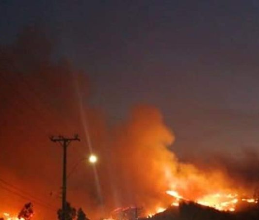 Incendios forestales en el sur de Chile podrían impactar humedales de alto valor en biodiversidad (Mongabay)