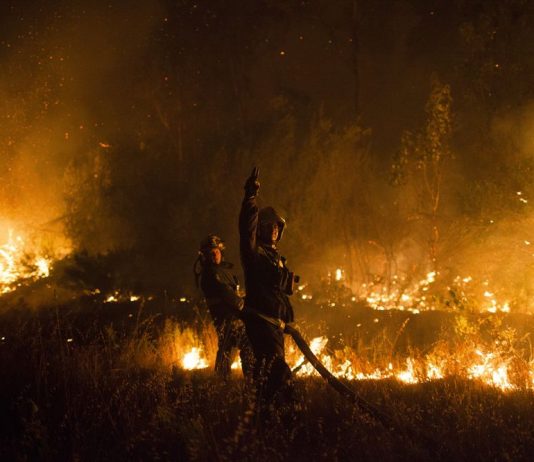 En la prensa: cobertura del Informe Incendios Forestales por Bloomberg