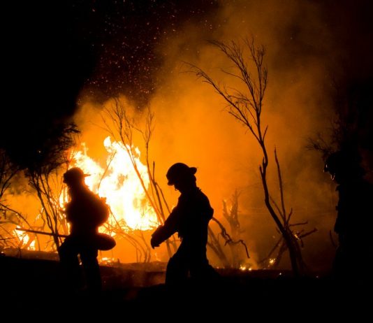 Australia: El modelo económico que potenció uno de los incendios más grandes de su historia y que Chile quiere seguir (El Desconcierto)