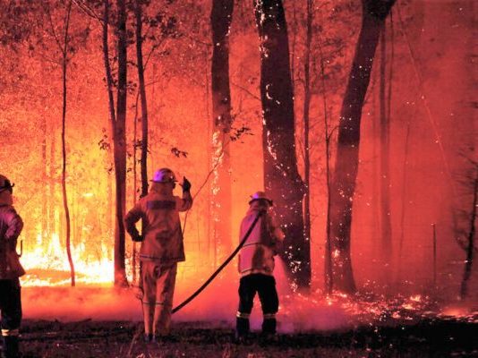 Por qué los incendios en Chile que dejan más de 100 muertos fueron tan destructivos (El Día)