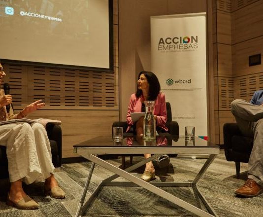 Acción Empresas renueva directorio y lanza dos nuevos programas sobre acción climática (ComunicarSe)