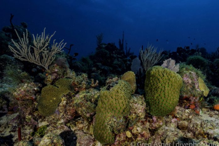 dsc7635-768x512_890503