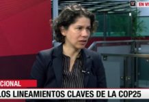 Maisa Rojas y cambio climático: «Chile tiene capacidad de adaptarse» (Emol)