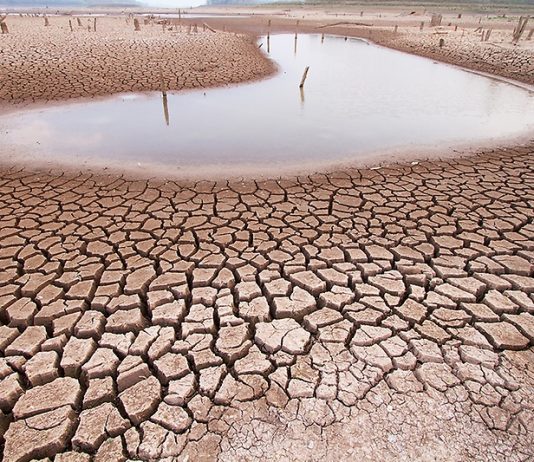 U. de Chile creó el Programa Transdisciplinario en Medio Ambiente (Noticias U. de Chile)