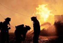 Científicos advierten inminente riesgo de grandes incendios forestales (El Mercurio)