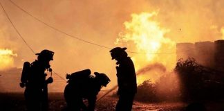 Evidencia científica y toma de decisiones urgentes en materia de incendios en Chile (El Mostrador)