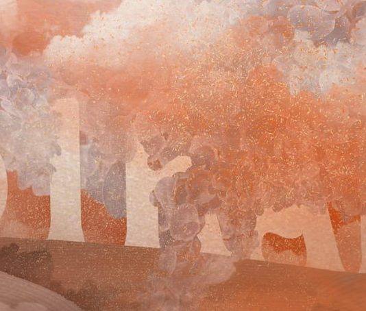 From Australia to Chile and Gran Canaria, greetings from the fire frontlines (The Correspondent)