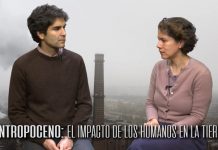 ¿Puede un humano editado genéticamente trasmitir los cambios en su ADN a sus hijos? (La Tercera)