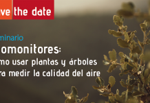 22 de enero | Seminario «Biomonitores: cómo usar plantas y árboles para medir la calidad del aire»