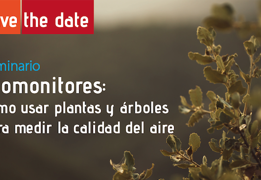 22 de enero | Seminario «Biomonitores: cómo usar plantas y árboles para medir la calidad del aire»