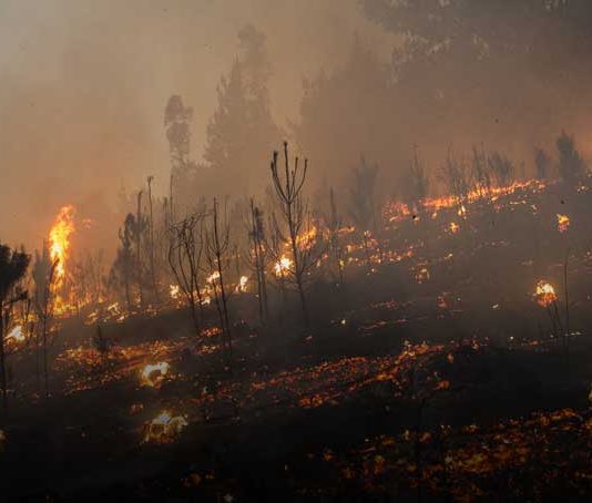Climatólogo sobre incendios: «Se requiere una estrategia más preventiva que reactiva» (Radio Cooperativa)