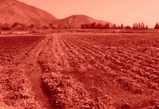 El mundo está cambiando y cambiará más: ¿Cómo nos afecta el Cambio Climático en Maipú? (La voz de Maipú)