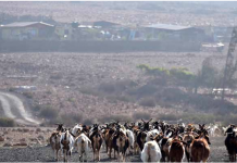 Crisis sanitaria en medio de la crisis hídrica: la interfaz ciencia y política se vuelve urgente (Noticias Par Explora Sur Poniente)