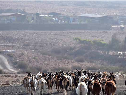 Crisis sanitaria en medio de la crisis hídrica: la interfaz ciencia y política se vuelve urgente (Noticias Par Explora Sur Poniente)