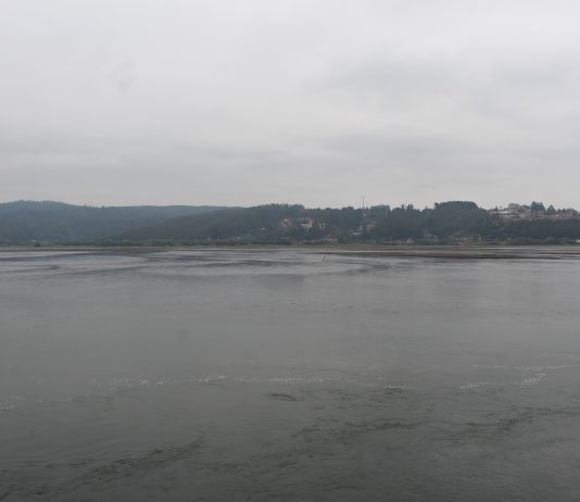 Científicos chilenos advierten costos medioambientales de carreteras hídricas