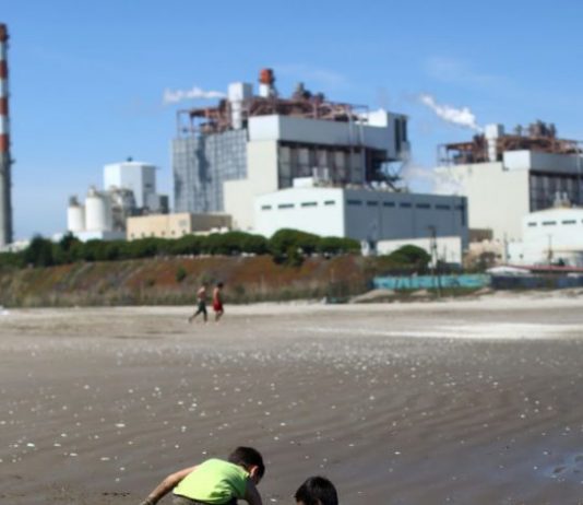 Maisa Rojas por cambio climático: “Venimos incubando esta crisis desde hace 150 años” (Radio ADN)