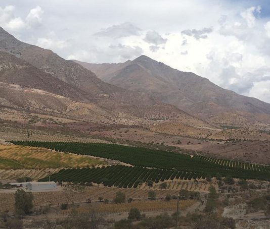 Policy brief (CR)2: Crisis hídrica en la cuenca de Petorca: una combinación entre la megasequía y el manejo del agua