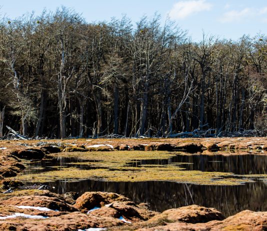 Chile aumenta su compromiso con el planeta y el desarrollo sostenible (El Mercurio)
