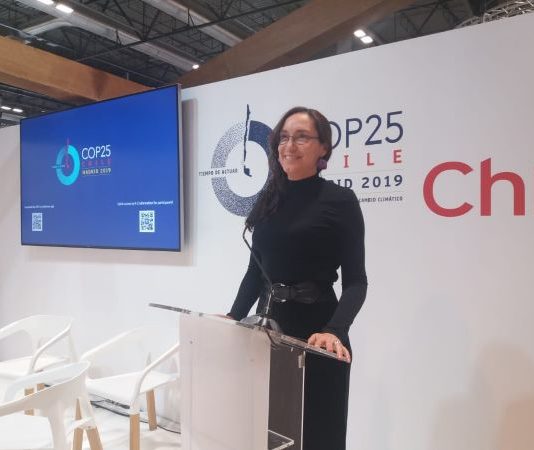 Profesora Aldunce: “Los humanos nos hemos convertido en una enorme fuerza global” (Noticias Agronomía UChile)