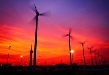 CR2 propone 117 reformas legales a instrumentos regulatorios para alcanzar la meta de carbono neutralidad al año 2050 (País Circular)