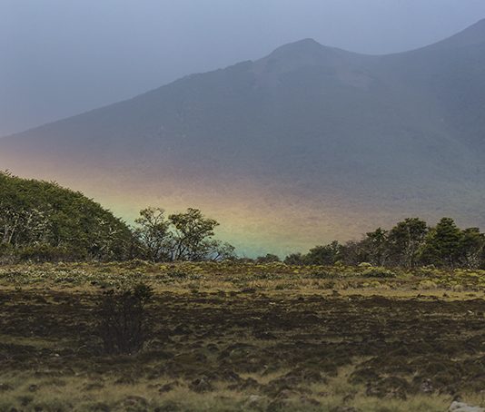 Análisis: ¿Qué son las turberas y cómo nos ayudan a disminuir los impactos del cambio climático? | (CR)2